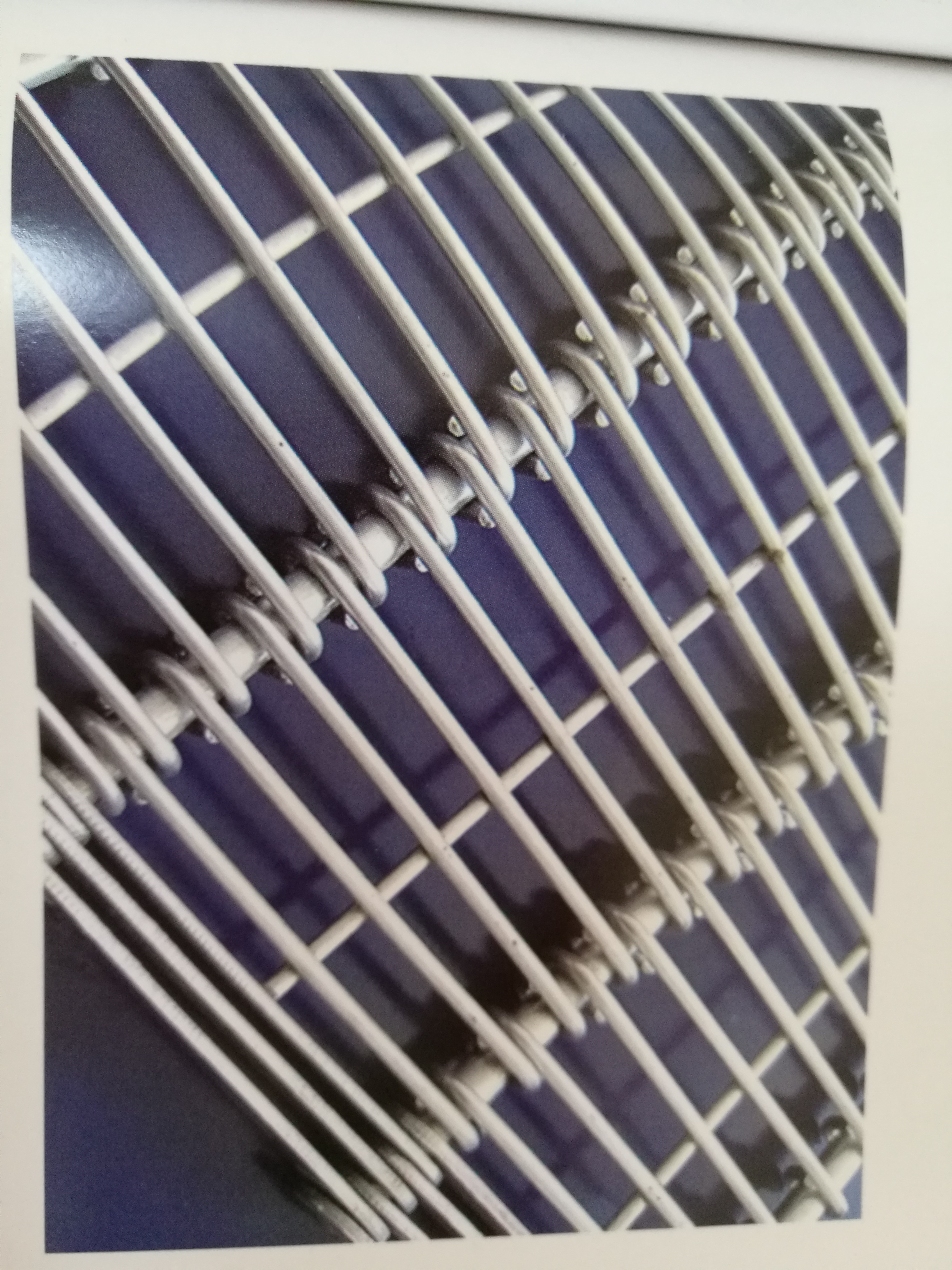 Eye link belt product view for food processing projects
