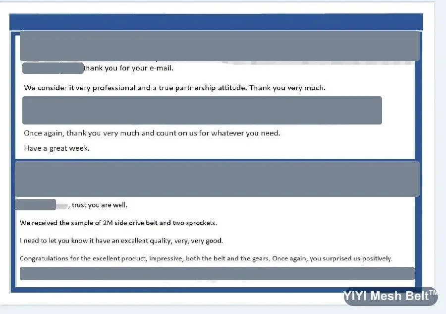 Messaggio originale del cliente, dati nascosti