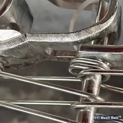 Cracked link at the edge of a spiral freezer belt