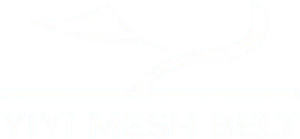 YIYI Mesh Belt