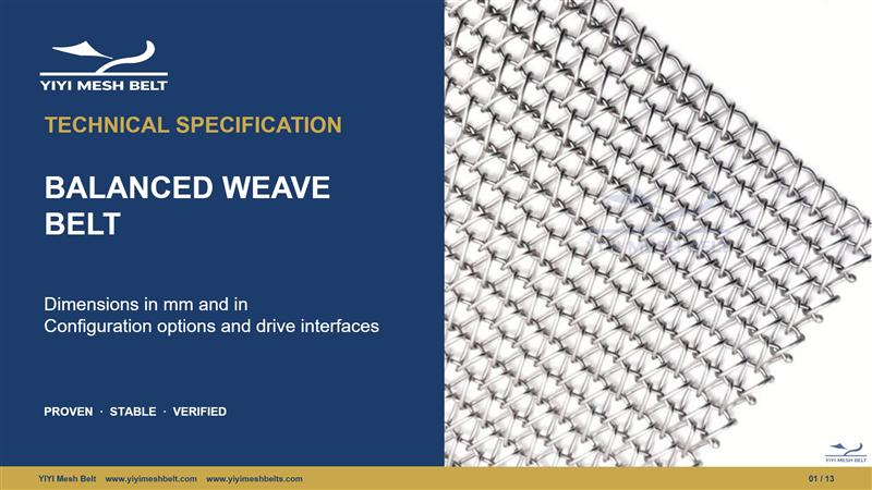 YIYI Mesh Belt Balanced Weave Belt Technical Specification