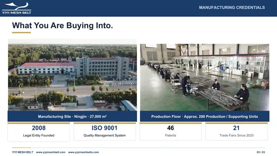 What you are buying into — page 3